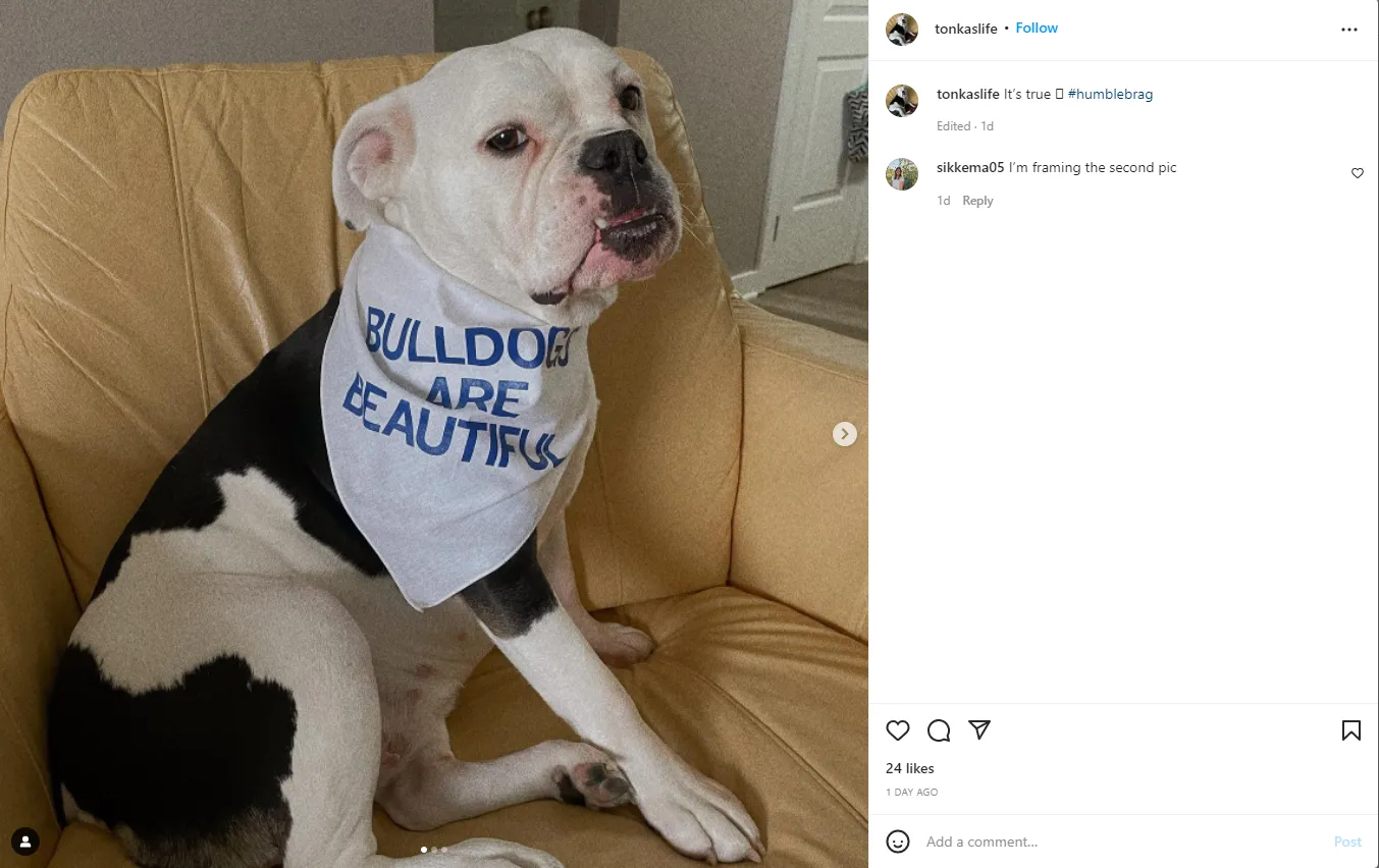 Bulldogs Are Beautiful Dog Bandana