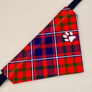 Cameron of Lochiel Modern Tartan Pet Bandana