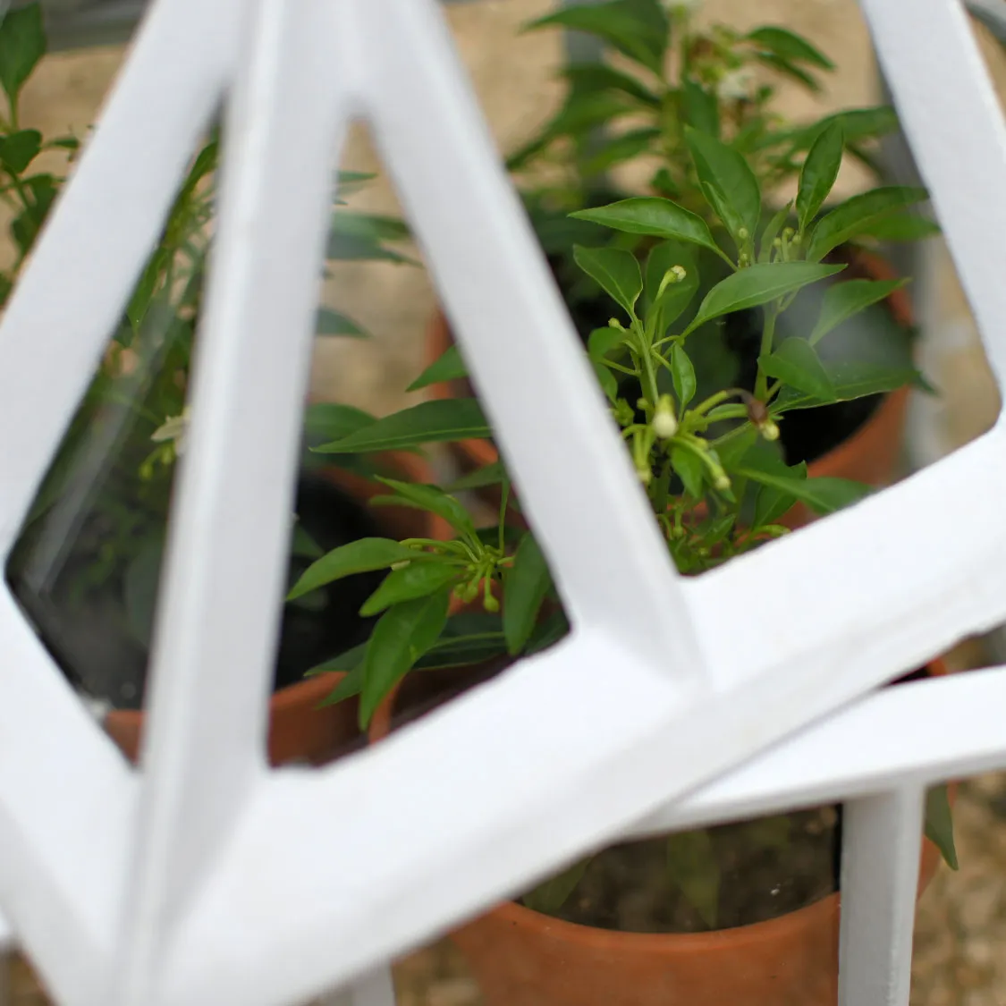 Cast Iron Garden Cloche