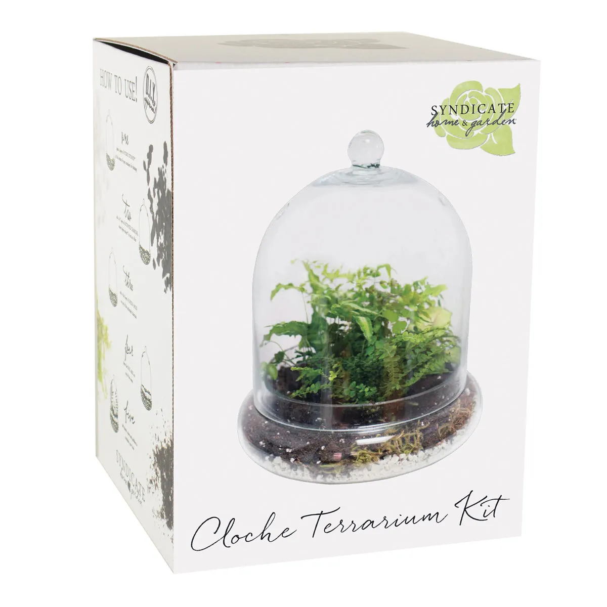 Cloche Terrarium Kit 10" x 11 3/8"