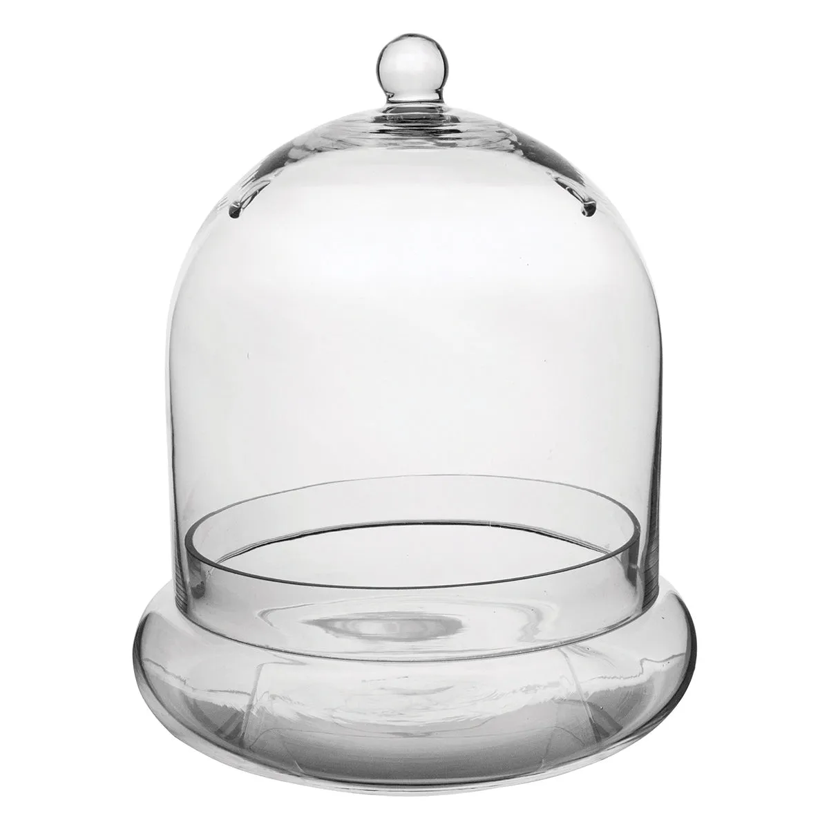 Cloche Terrarium Kit 10" x 11 3/8"