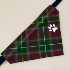 Crosbie Tartan Pet Bandana