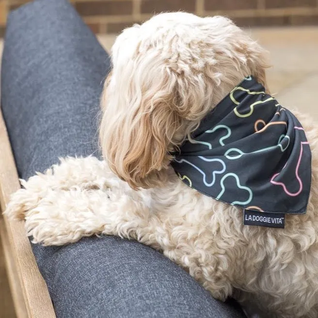 Neon Bone Black Bandana